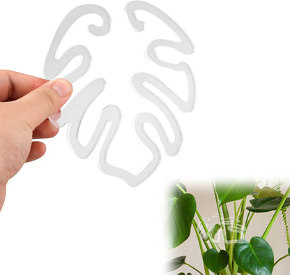 Gjennomsiktig plantestøtte i akryl, Monstera-bladform | Usynlig plantestøtte for innendørs bruk ( 1 sett 5 stk.)