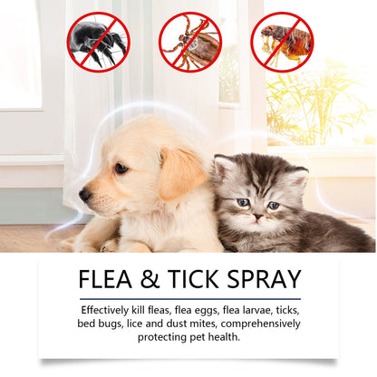 Naturlig loppe- og flåttspray 🐱🐶