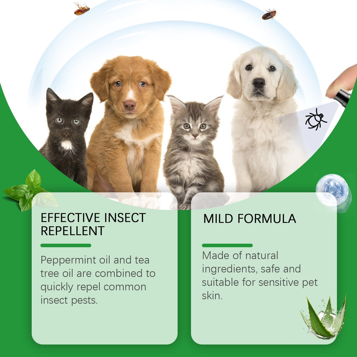 Naturlig loppe- og flåttspray 🐱🐶