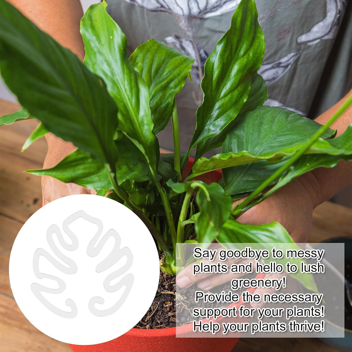 Gjennomsiktig plantestøtte i akryl, Monstera-bladform | Usynlig plantestøtte for innendørs bruk ( 1 sett 5 stk.)