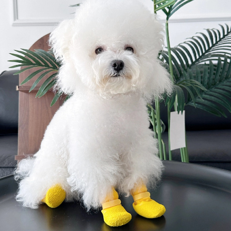 Sklisikre og vanntette sko til kjæledyr 🐶👟